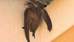 Kolik typů účesů víte? Zkontroluj se